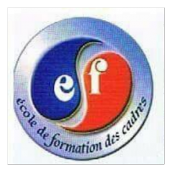 EFC FORMATION Ween.tn