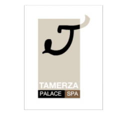 TAMERZA PALACE **** Ween.tn