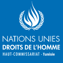 LE BUREAU DU HAUT COMMISSARIAT AUX DROITS DE L'HOMME DES NATIONS UNIES Ween.tn
