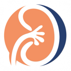 DR SHEDHA BEN AMOR FARHAT Ween.tn