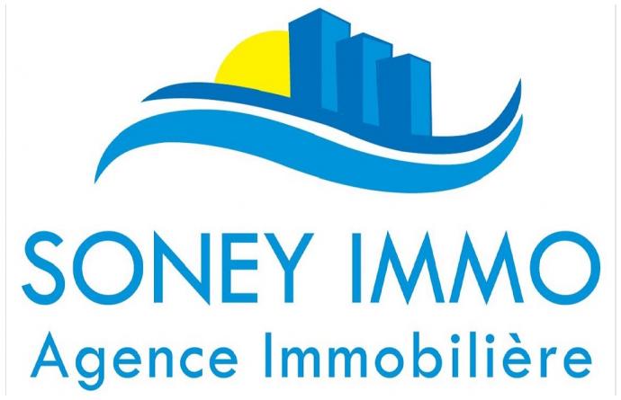 Agence Immobilière Soney Immo