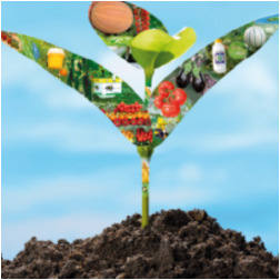 Agricole "EI IZDIHAR" Hbira