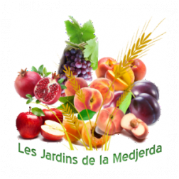 SMVDA JARDINS DE MAJERDA