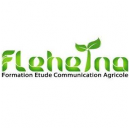 STE FLEHETNA