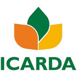 ICARDA