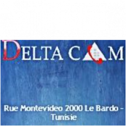 DELTACOM INTERNATIONAL