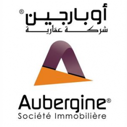 AUBERGINE IMMOBILIERE
