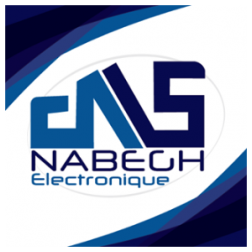 DNS, DHOUIB NABEGH SERVICE