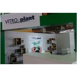 VITROPLANT TUNISIA