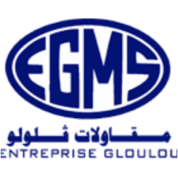 EGMS, ENTREPRISE GLOULOU MOHAMED ET SALEM