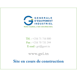 GEI, GENERALE D'EQUIPEMENT INDUSTRIEL