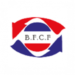 BFCF, BAHLOUL FRERES CHAUD FROID