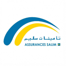 HOUIDI KAMEL, ASSURANCES SALIM