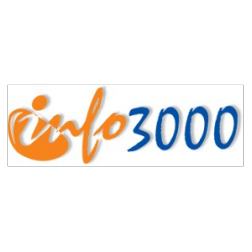 INFO 3000