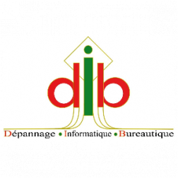 DIB INFORMATIQUE