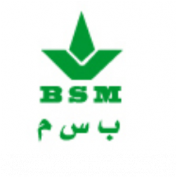 BSM, BEN SALEM MOTORS