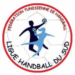 LIGUE DE HANDBALL DU SUD