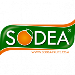 SODEA, STE DEVELOPPEMENT EXPLOITATION AGRICOLE