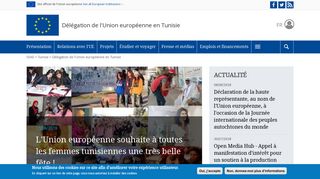 DELEGATION DE L'UNION EUROPEENNE EN TUNISIE