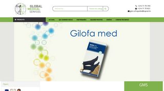 GLOBAL MEDICAL SERVICES