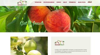 NOUR FRUIT